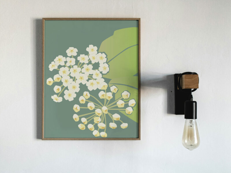 Hoya Print - Image 4