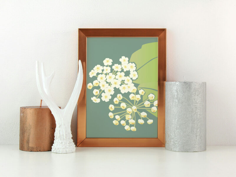 Hoya Print - Image 2