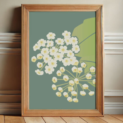 Hoya Print