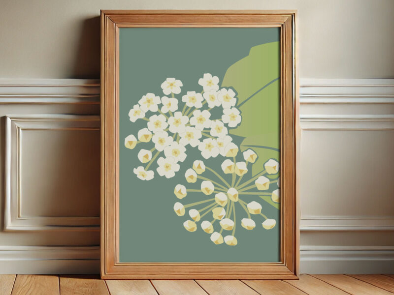 Hoya Print
