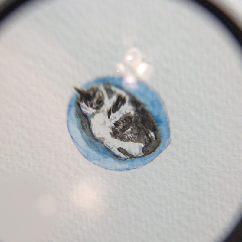 Tiny Pet Portrait, Mixed Media - Image 5