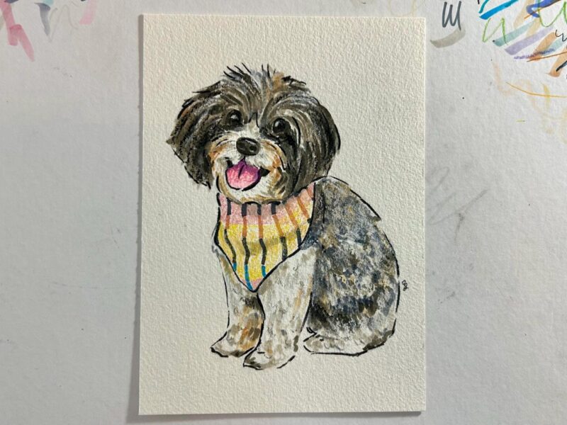 "Badly Drawn" Custom Pet Portrait - Image 8