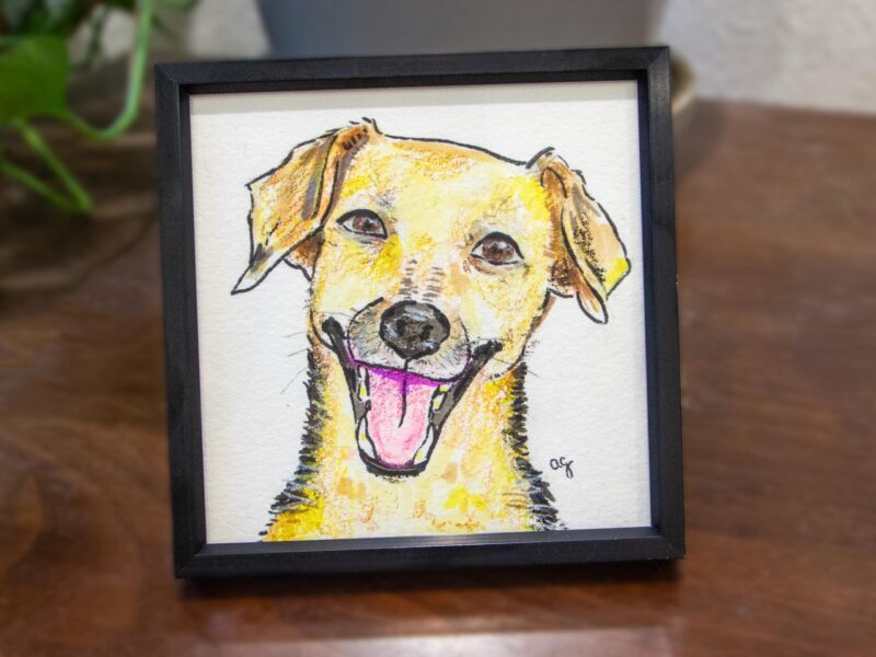 "Badly Drawn" Custom Pet Portrait