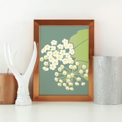 Hoya Print