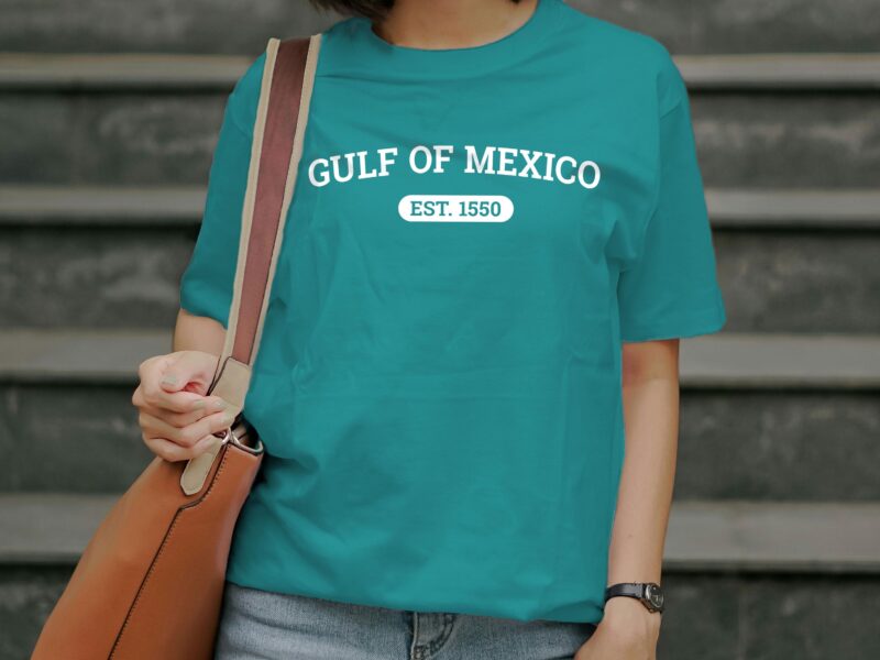 Gulf of Mexico Tee, Classic Gulf of Mexico Tee Shirt, Gulf of America, Gift for Mexico Lover Gulf of Mexico Gift Tee