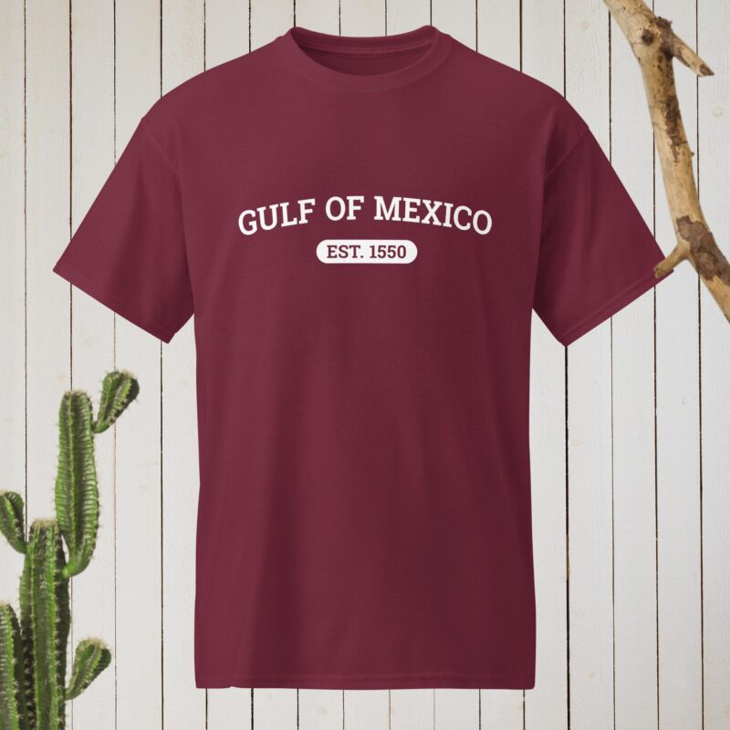 Gulf of Mexico Tee, Classic Gulf of Mexico Tee Shirt, Gulf of America, Gift for Mexico Lover Gulf of Mexico Gift Tee - Image 9